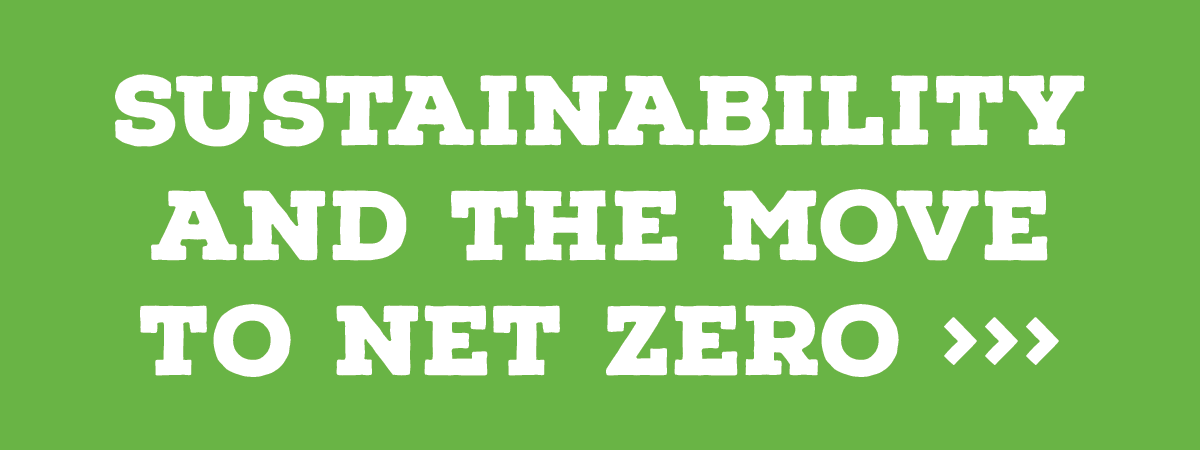 sustainability and the move to net zero